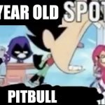 ____ spotted ____ go! | FOUR YEAR OLD; PITBULL | image tagged in ____ spotted ____ go | made w/ Imgflip meme maker