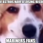 Mariner Dog | THE ASTROS HAVE A LOSING RECORD; MARINERS FANS: | image tagged in dog sus | made w/ Imgflip meme maker