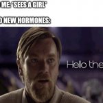 Darn you new hormones every 3 days!!! | 13 YR OLD ME: *SEES A GIRL*; MY BRAND NEW HORMONES: | image tagged in obi wan hello there,relatable memes,funny,memes | made w/ Imgflip meme maker