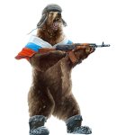 Slavic Soldier Bear