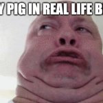Daddy pig IRL | DADDY PIG IN REAL LIFE BE LIKE: | image tagged in daddy pig irl | made w/ Imgflip meme maker