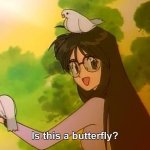Is this a butterfly?