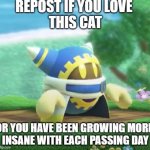 Repost if cat