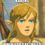 Hello | KARENS; WHEN YOU SAY "HELLO" | image tagged in offended link | made w/ Imgflip meme maker