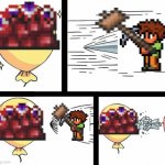 Terraria | image tagged in undefeated balloon | made w/ Imgflip meme maker