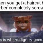 So this is where dignity goes to die | when you get a haircut but the barber completely screws it up | image tagged in so this is where dignity goes to die | made w/ Imgflip meme maker