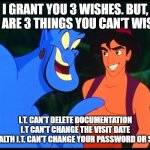 EMR IT | I GRANT YOU 3 WISHES. BUT, THERE ARE 3 THINGS YOU CAN'T WISH FOR; I.T. CAN'T DELETE DOCUMENTATION
I.T CAN'T CHANGE THE VISIT DATE
HOME HEALTH I.T. CAN'T CHANGE YOUR PASSWORD OR SECURITY | image tagged in aladdin genie wish | made w/ Imgflip meme maker