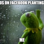 Farming kermit | FRIENDS ON FACEBOOK PLANTING CORN; ME | image tagged in kermit the frog rainy day | made w/ Imgflip meme maker