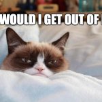 grumpy cat bed | WHY WOULD I GET OUT OF BED ? | image tagged in grumpy cat bed | made w/ Imgflip meme maker
