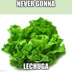 ... | NEVER GONNA; LECHUGA | image tagged in lechuga,memes,so true memes,funny,you had one job | made w/ Imgflip meme maker