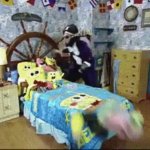 Patchy The Pirate Meltdown GIF Template