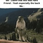 "THE WHAT!?!?" | Me : Damn that test was hard
Friend : Yeah especially the back
Me :; HUH ? | image tagged in gifs,memes,funny,relatable,fail,front page plz | made w/ Imgflip video-to-gif maker