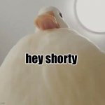 pathetic | hey shorty | image tagged in pathetic duck 1 | made w/ Imgflip meme maker