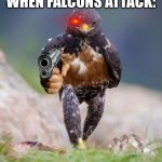contact us today | WHEN FALCONS ATTACK: | image tagged in wondering wandering falcon | made w/ Imgflip meme maker