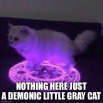 demonic little gray cat | NOTHING HERE JUST A DEMONIC LITTLE GRAY CAT | image tagged in demonic little gray cat | made w/ Imgflip meme maker