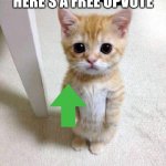 cute cat gives you free upvotes! :) | HERE'S A FREE UPVOTE | image tagged in memes,cute cat | made w/ Imgflip meme maker