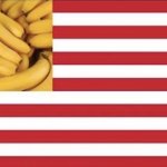 Banana Republic flag