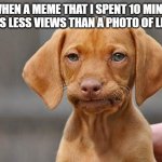 why would i smile or upvote an image of lettuce | ME WHEN A MEME THAT I SPENT 10 MINUTES ON GETS LESS VIEWS THAN A PHOTO OF LETTUCE | image tagged in dissapointed puppy | made w/ Imgflip meme maker