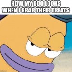 doggo face | HOW MY DOG LOOKS WHEN I GRAB THEIR TREATS | image tagged in spongebob smiling mailman,spongebob,patrick star,funny,dog | made w/ Imgflip meme maker