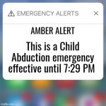 Emergency Alert | AMBER ALERT; This is a Child Abduction emergency effective until 7:29 PM | image tagged in emergency alert | made w/ Imgflip meme maker