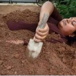 Chick burying herself meme