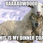 Wolf In Sheeps Clothing | BAAAAOWOOOO; THIS IS MY DINNER COAT | image tagged in wolf in sheeps clothing | made w/ Imgflip meme maker