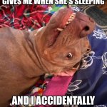 Johnny Hollywood | THE LOOK MY WIFE GIVES ME WHEN SHE'S SLEEPING; AND I ACCIDENTALLY TURNED ON THE LIGHT | image tagged in annoyed and confused dog | made w/ Imgflip meme maker