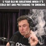 Just me I bet- | 5 YEAR OLD ME BREATHING WHEN IT'S COLD OUT AND PRETENDING I'M SMOKING: | image tagged in elon musk smoking a joint | made w/ Imgflip meme maker