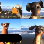The Dog of Wisdom II