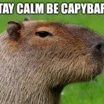 Capybara art | STAY CALM BE CAPYBARA | image tagged in anonymous capybara | made w/ Imgflip meme maker