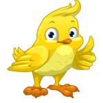 yellow Bird