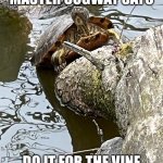 Master Oogway | MASTER OOGWAY SAYS; DO IT FOR THE VINE | image tagged in master oogway,vine,vines,turtle,turtles | made w/ Imgflip meme maker