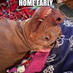 Johnny Hollywood | OH HI. YOU'RE HOME EARLY | image tagged in annoyed and confused dog | made w/ Imgflip meme maker