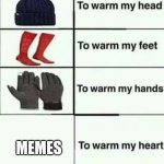 This truly brings a smile to my face | MEMES | image tagged in to warm my heart,memes | made w/ Imgflip meme maker