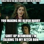 she's just jealous | COULD YOU BE THE MOST BEAUTIFUL GIRL IN THE WORLD; YOU MAKING ME BLUSH HARRY; SHUT UP HERMIONE I'M TALKING TO MY BITCH RON | image tagged in messed up convo harry potter,beautiful woman | made w/ Imgflip meme maker