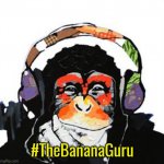 This monkey is philosopher and sex guru