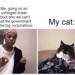 I don't actually know if cats understand that. | Me, going on an unhinged tirade about why we can't trust the government or the big corporations:; My cat: | image tagged in me explaining why,cat | made w/ Imgflip meme maker
