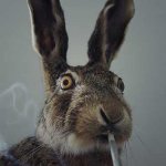 Smoking marihuana Easter bunny
