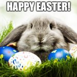 Easter bunny | HAPPY EASTER! | image tagged in easter bunny | made w/ Imgflip meme maker