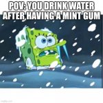 should not have done that | POV: YOU DRINK WATER AFTER HAVING A MINT GUM | image tagged in freezing spongebob,gum,spongebob | made w/ Imgflip meme maker