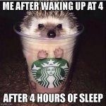 Have a hedgehog! | ME AFTER WAKING UP AT 4; AFTER 4 HOURS OF SLEEP | image tagged in starbucks' hedgehog | made w/ Imgflip meme maker