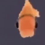 fish | image tagged in gifs,fish | made w/ Imgflip video-to-gif maker