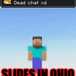 slides in ohio | SLIDES IN OHIO | image tagged in gifs,minecraft,ohio | made w/ Imgflip video-to-gif maker