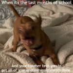 and worse thing is i have 13 assignments overdue | When its the last months of school; And your teacher tells you to get all of your undone assignments done. | image tagged in scared rex | made w/ Imgflip meme maker