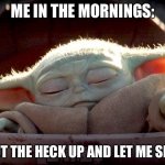 Baby Yoda | ME IN THE MORNINGS:; SHUT THE HECK UP AND LET ME SLEEP | image tagged in baby yoda | made w/ Imgflip meme maker