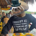 Sloth I identify as a conspiracy theorist meme