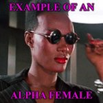 EXAMPLE OF AN ALPHA FEMALE | EXAMPLE OF AN; ALPHA FEMALE | image tagged in bond girl grace jones | made w/ Imgflip meme maker