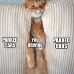 Some Roads Are Hard To Drive On | WHEN YOU’RE DRIVING DOWN A SMALL ROAD; PARKED CARS; YOU DRIVING; PARKED CARS | image tagged in standing room only,cars,driving,tight space,parked cars | made w/ Imgflip meme maker