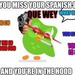 when you miss Spanish lessons and your in the hood | WHEN YOU MISS YOUR SPANISH LESSON; QUE WEY; WHAT UP FOO; SI NO CEME CU; YOU DYING TODAY FOO; YOUR FAMILY IS NEXT WEY; MEET ME IN THE HOOD FOO; AND YOU'RE IN THE HOOD | image tagged in doulingo | made w/ Imgflip meme maker