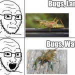 Idk what to really call this | Bugs, Land; Bugs, Water | image tagged in soyjak reaction,memes,save the earth,funny | made w/ Imgflip meme maker